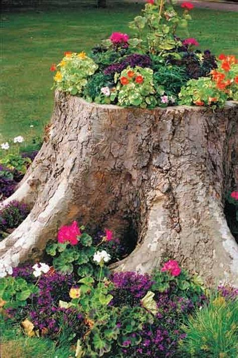 using tree stump as planter.